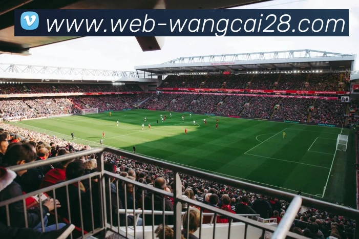 旺财28品牌故事