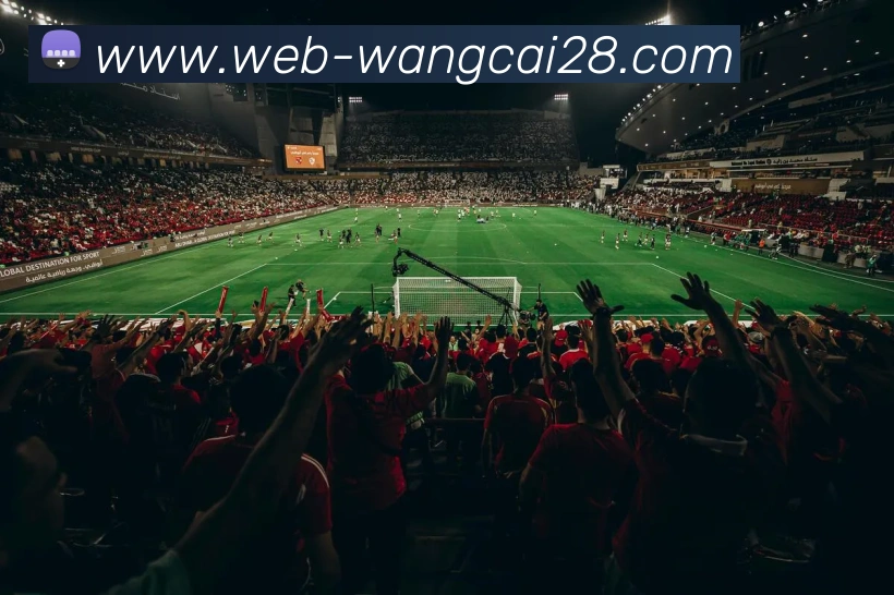 旺财28服务体系