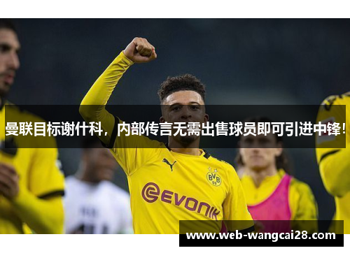 曼联目标谢什科，内部传言无需出售球员即可引进中锋！