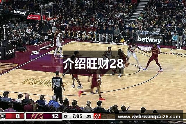 介绍旺财28